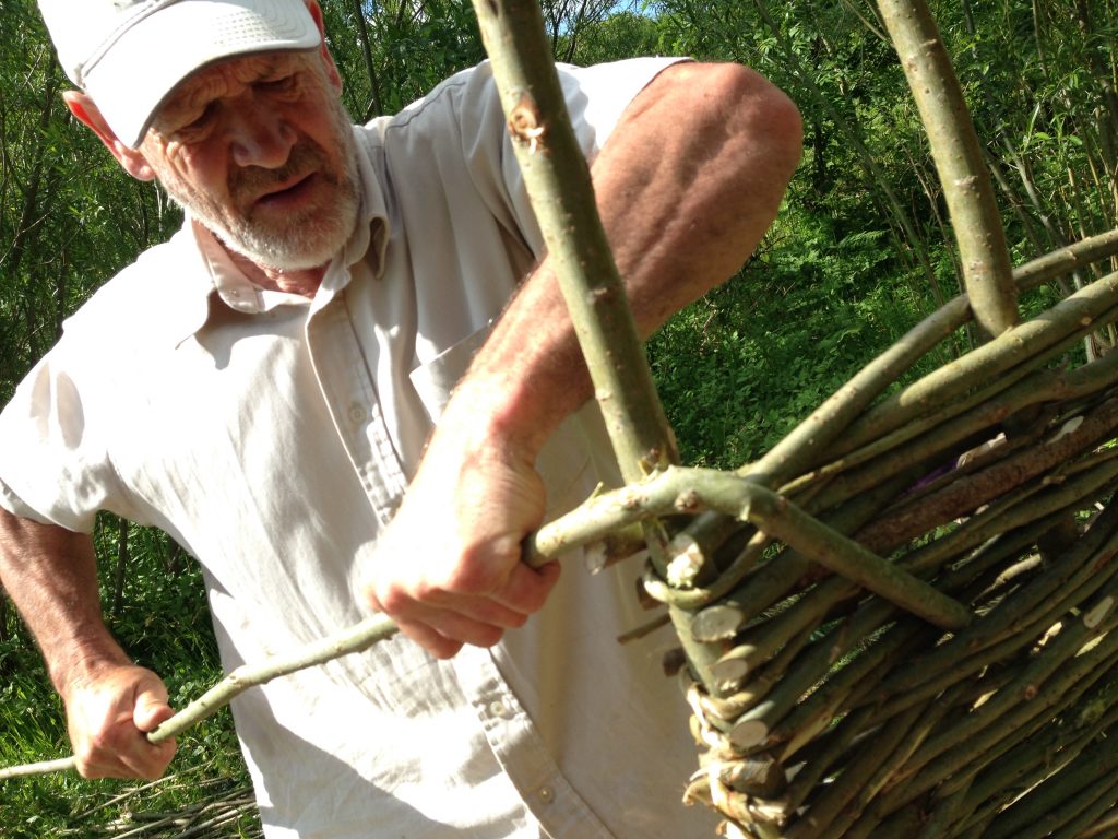 Mike demonstrating hurdle making with some recently coppiced willow