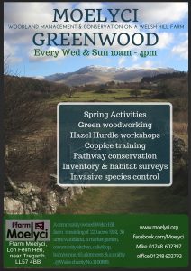 spring_woodland_web_eng (2)