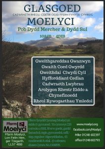 spring_woodland_web_welsh (2)
